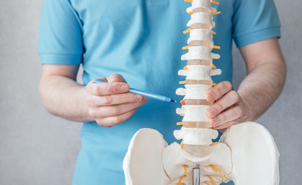 Proactive Wellness Chiropractic Care in Raleigh, NC